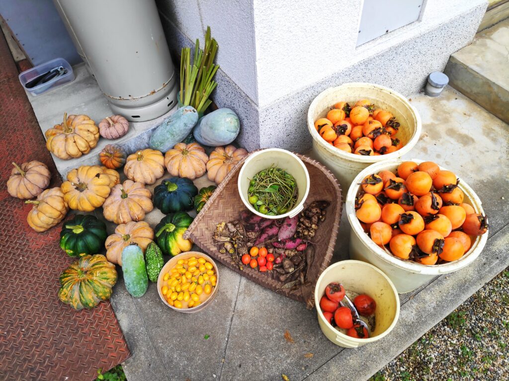 Autumn harvest at Niwamori.org